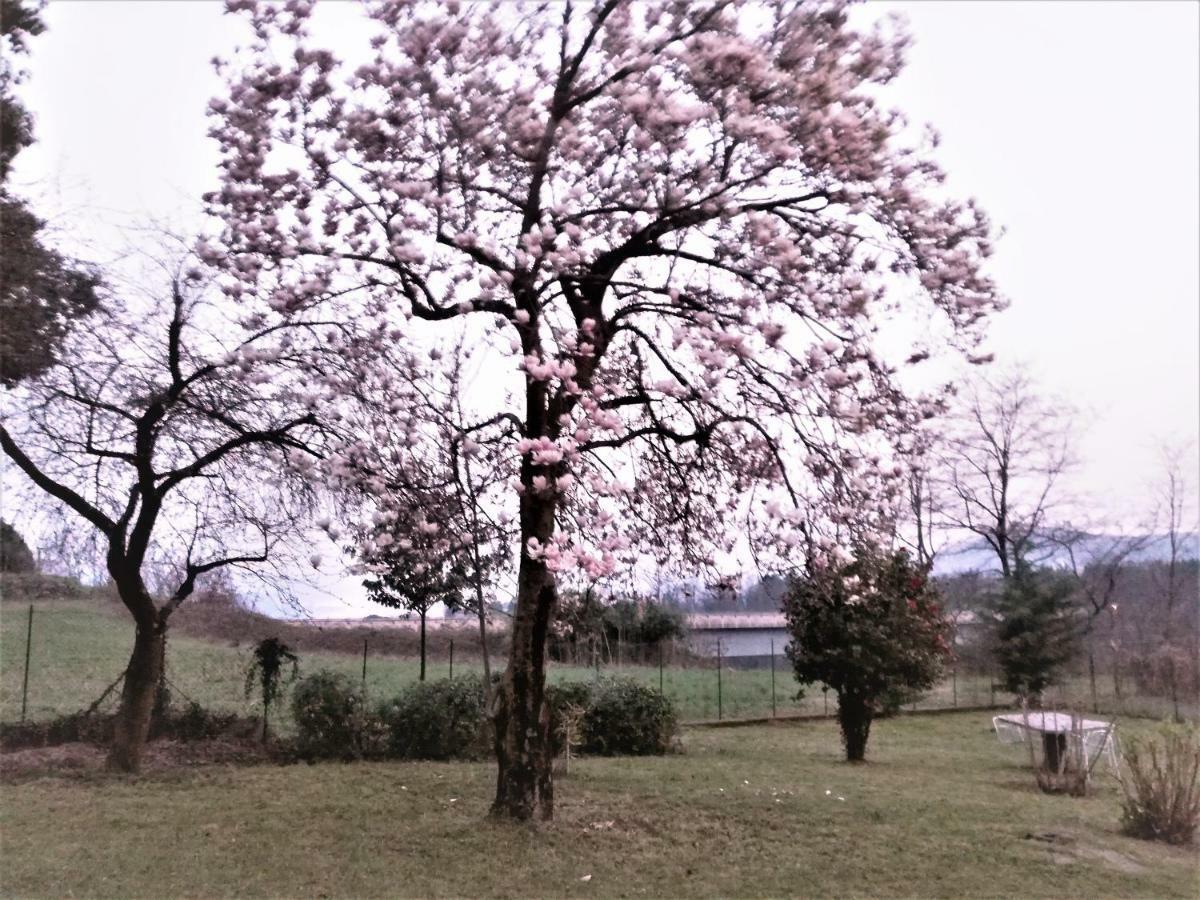Casale Cadeloro Διαμέρισμα Nebbiuno Εξωτερικό φωτογραφία
